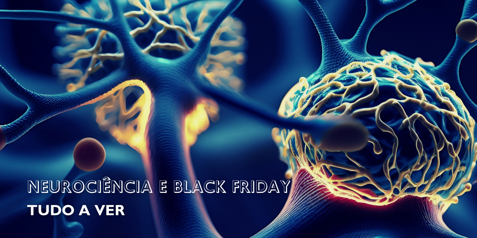 A Neurociência por Trás da Black Friday